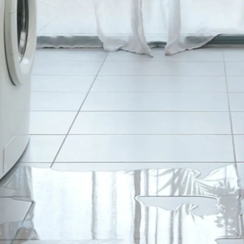 Appliance Leak Cleanup in Robbinsville, NC