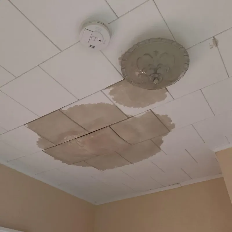 Ceiling Water Damage Repair in Robbinsville, NC