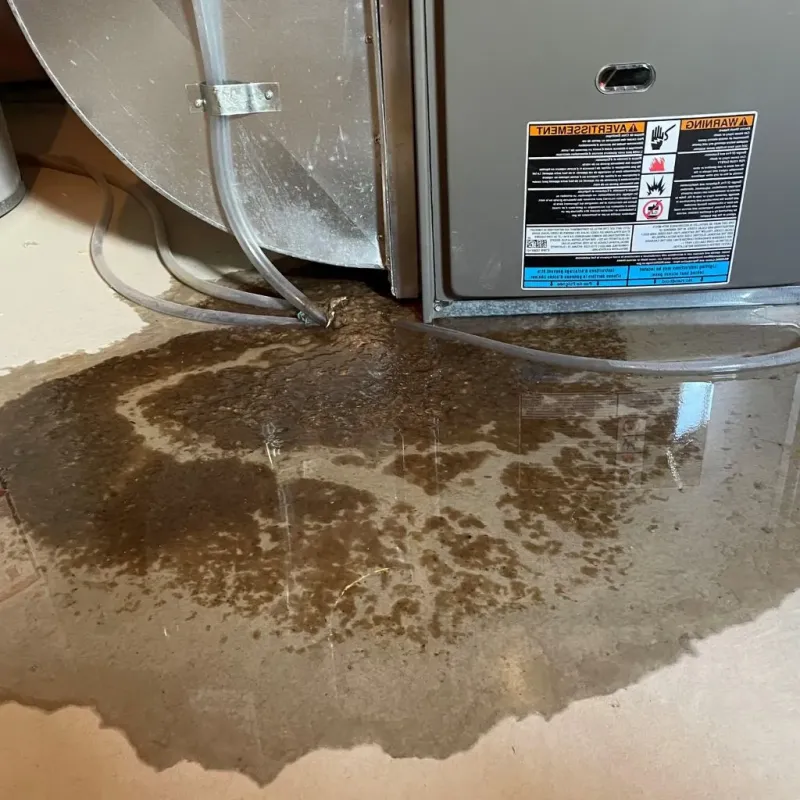 Pipe Burst and Leak Restoration in Robbinsville, NC
