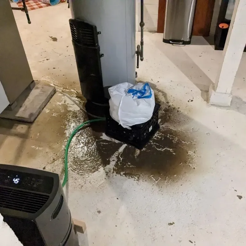 Sewage Backup Cleanup Service in Robbinsville, NC
